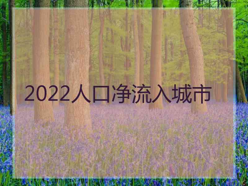 2022人口净流入城市