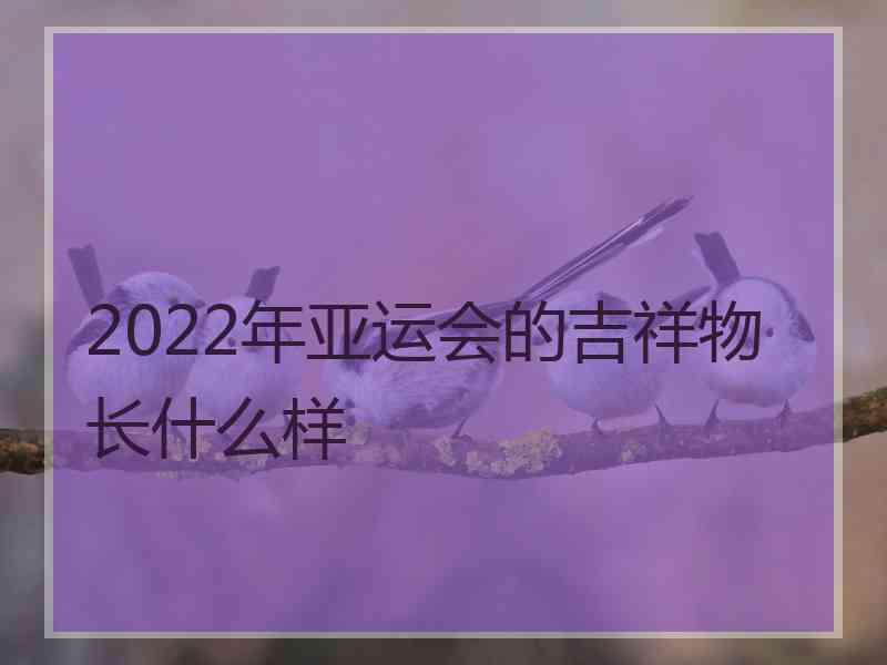 2022年亚运会的吉祥物长什么样