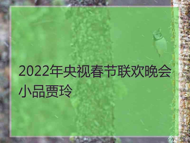 2022年央视春节联欢晚会小品贾玲