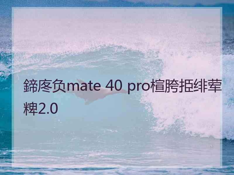 鍗庝负mate 40 pro楦胯挋绯荤粺2.0