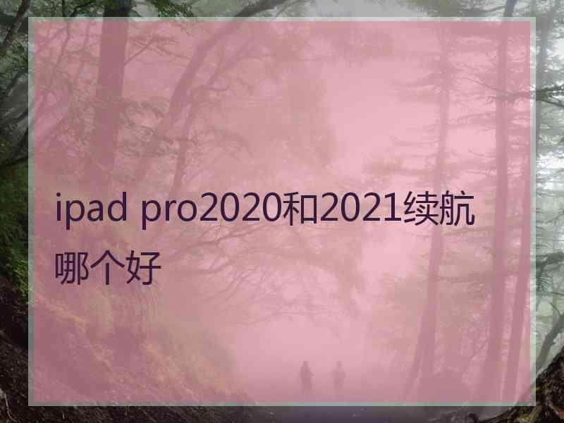 ipad pro2020和2021续航哪个好