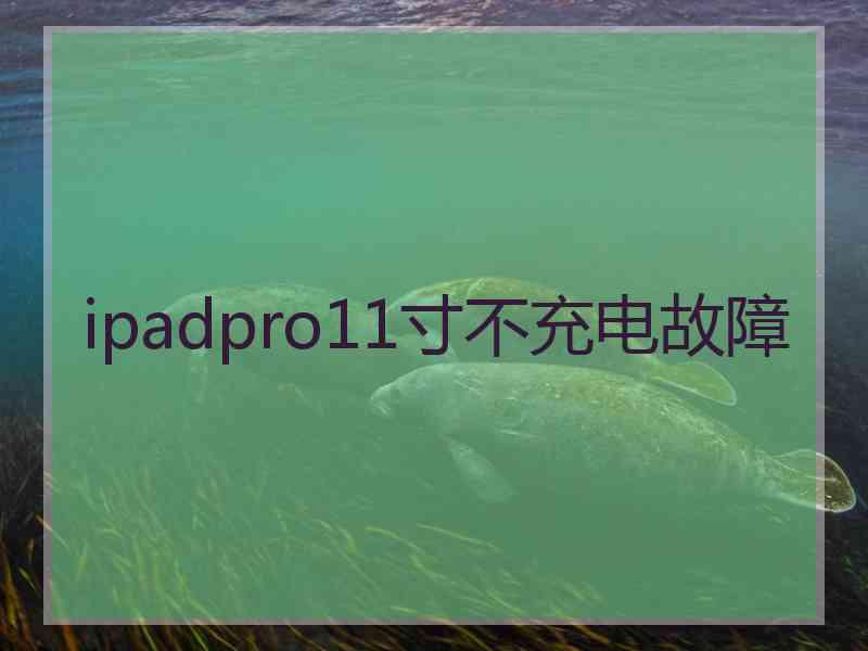 ipadpro11寸不充电故障