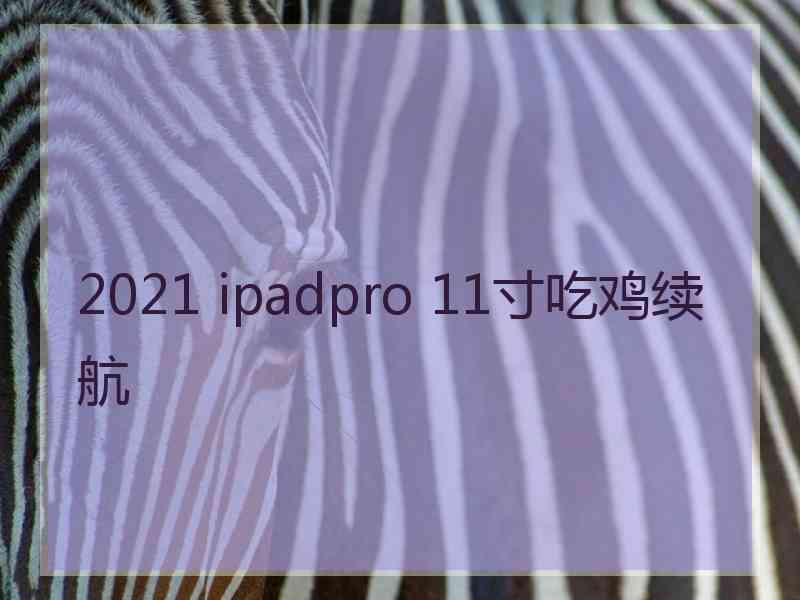 2021 ipadpro 11寸吃鸡续航