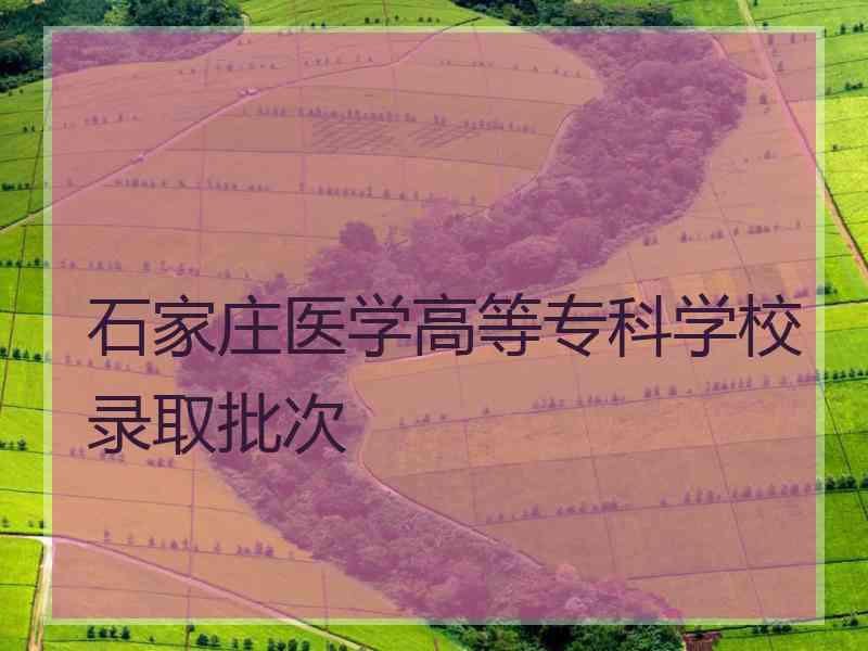 石家庄医学高等专科学校录取批次