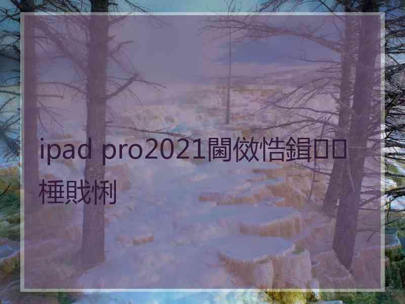 ipad pro2021閫傚悎鍓棰戝悧