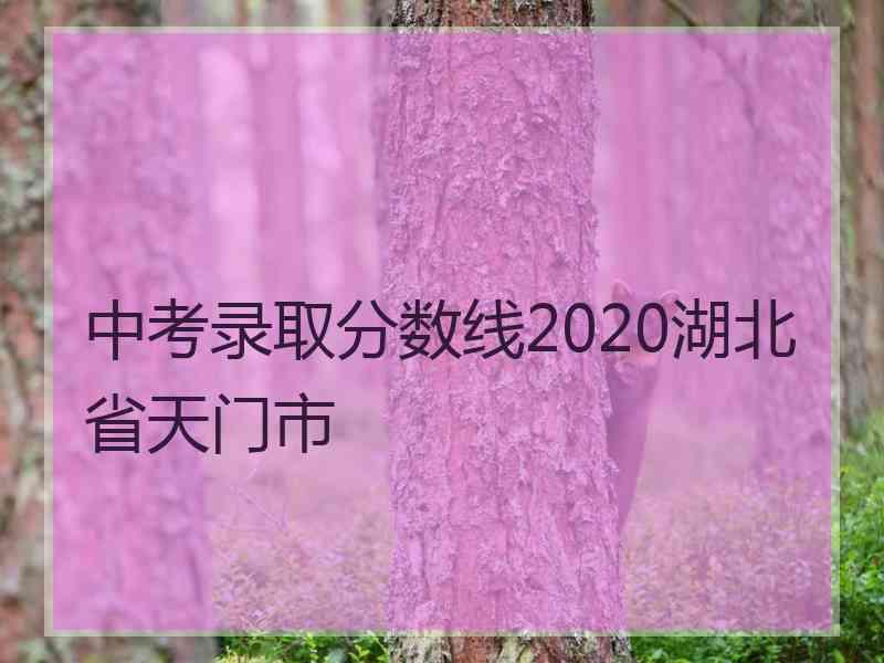 中考录取分数线2020湖北省天门市