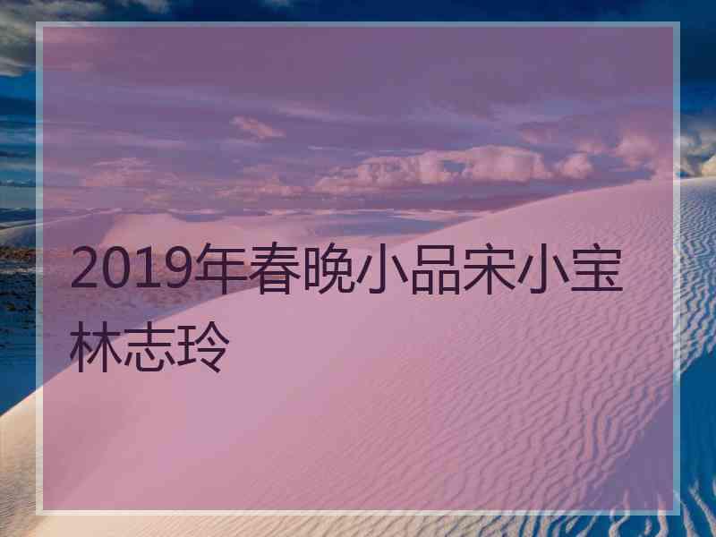 2019年春晚小品宋小宝林志玲