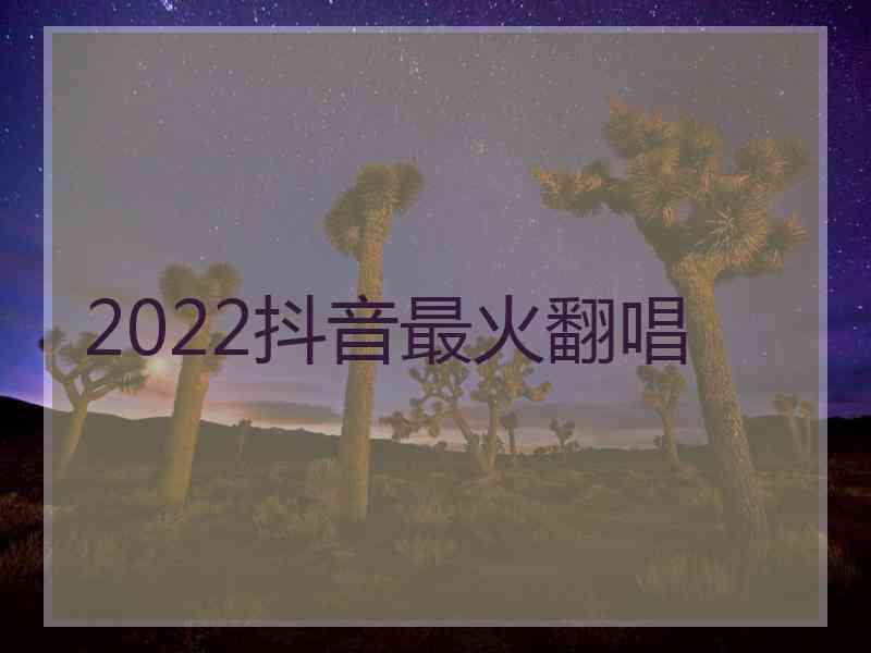 2022抖音最火翻唱