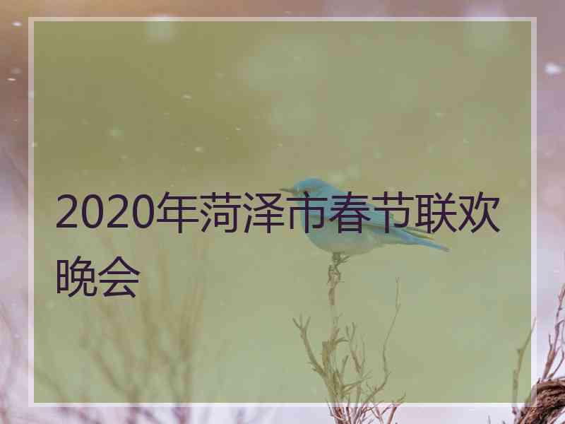 2020年菏泽市春节联欢晚会