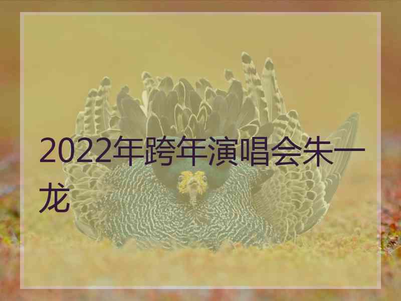 2022年跨年演唱会朱一龙