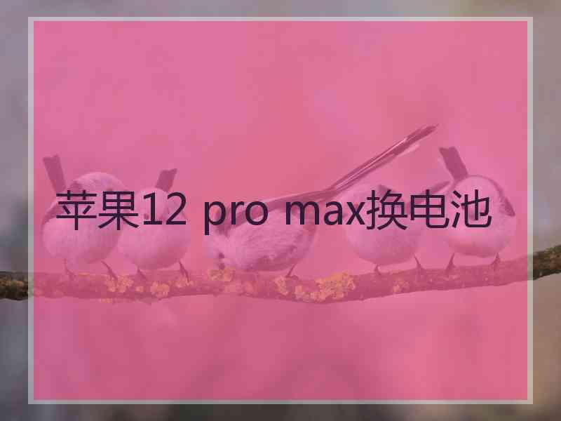 苹果12 pro max换电池