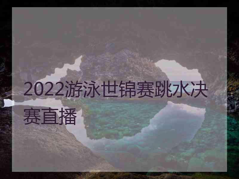 2022游泳世锦赛跳水决赛直播