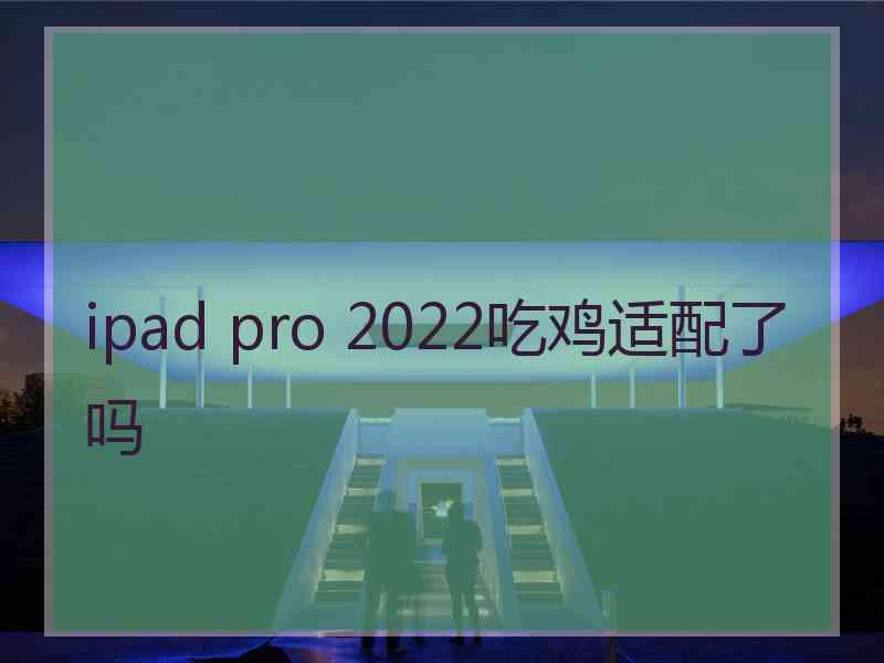 ipad pro 2022吃鸡适配了吗