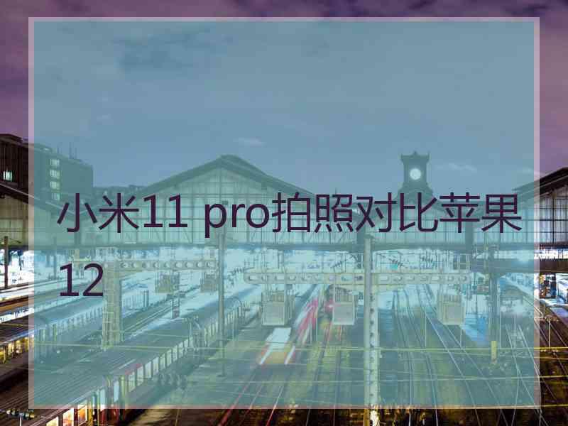 小米11 pro拍照对比苹果12