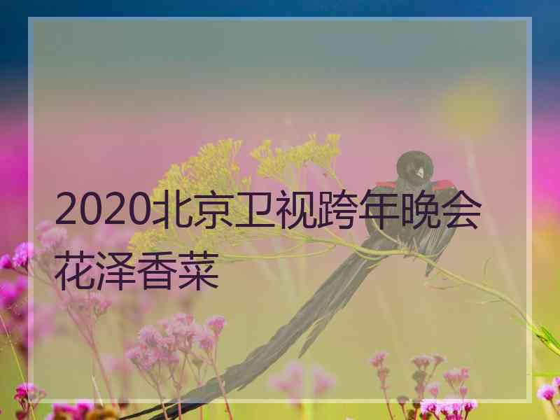 2020北京卫视跨年晚会花泽香菜