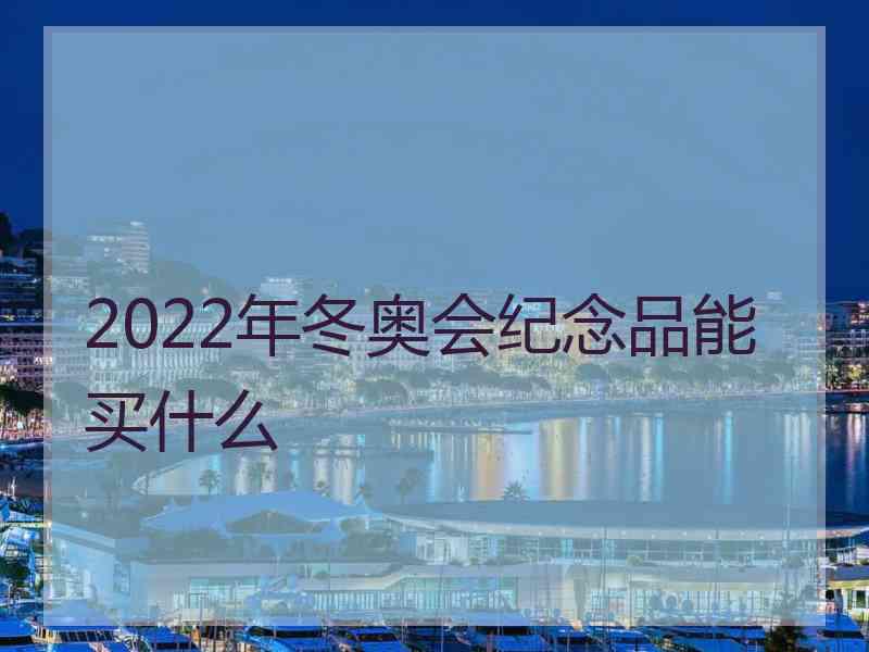 2022年冬奥会纪念品能买什么