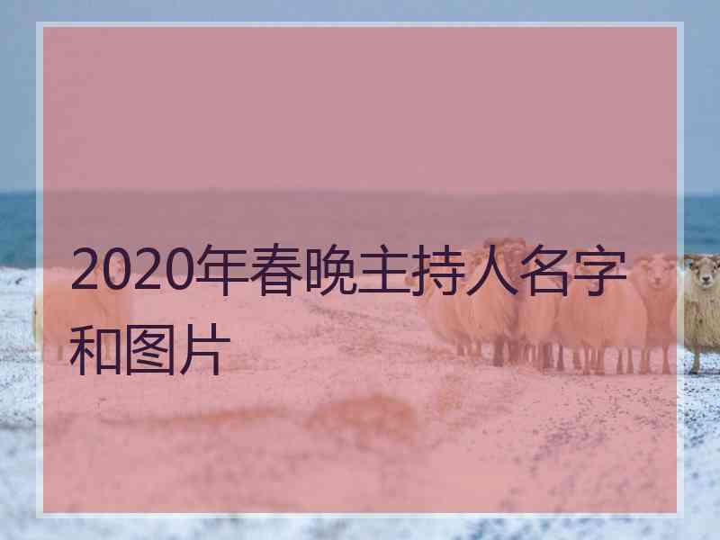 2020年春晚主持人名字和图片