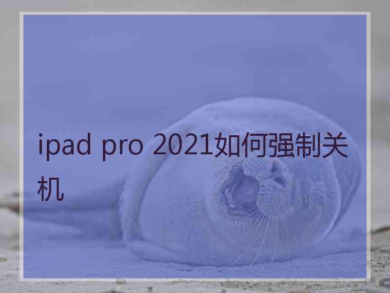 ipad pro 2021如何强制关机