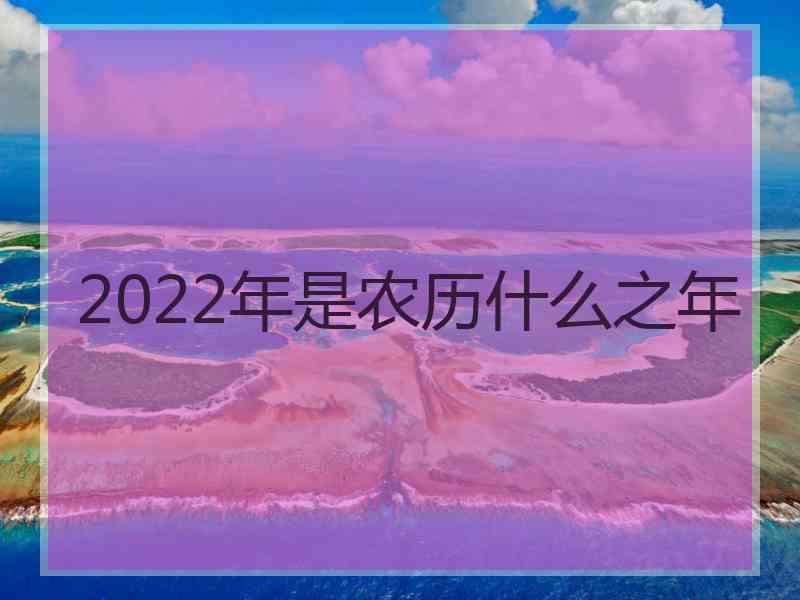 2022年是农历什么之年