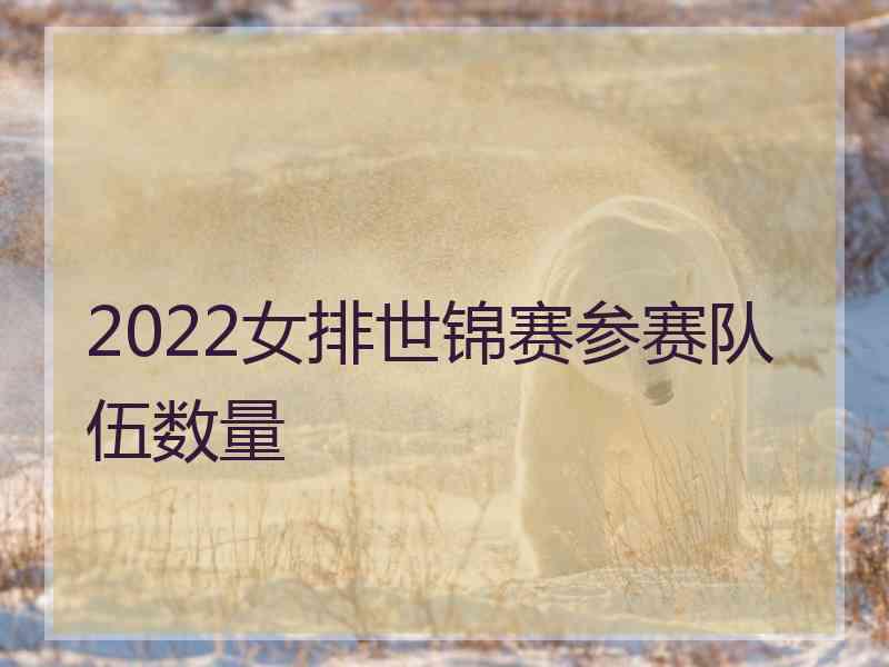 2022女排世锦赛参赛队伍数量