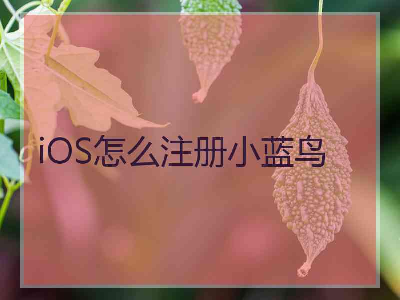 iOS怎么注册小蓝鸟