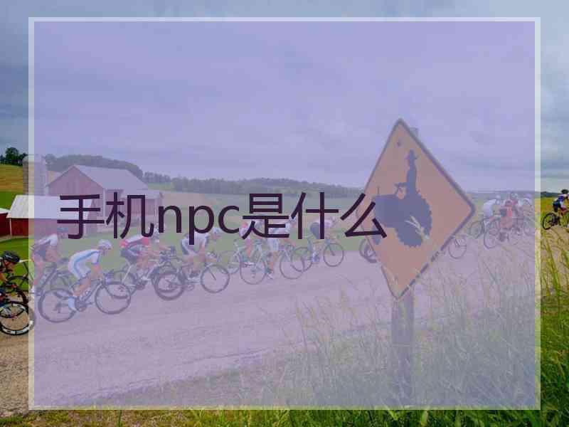 手机npc是什么