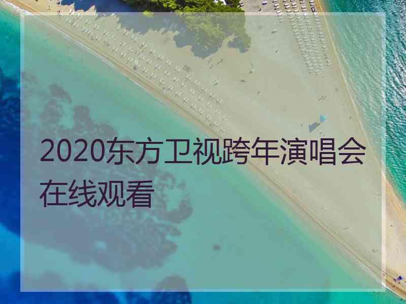 2020东方卫视跨年演唱会在线观看