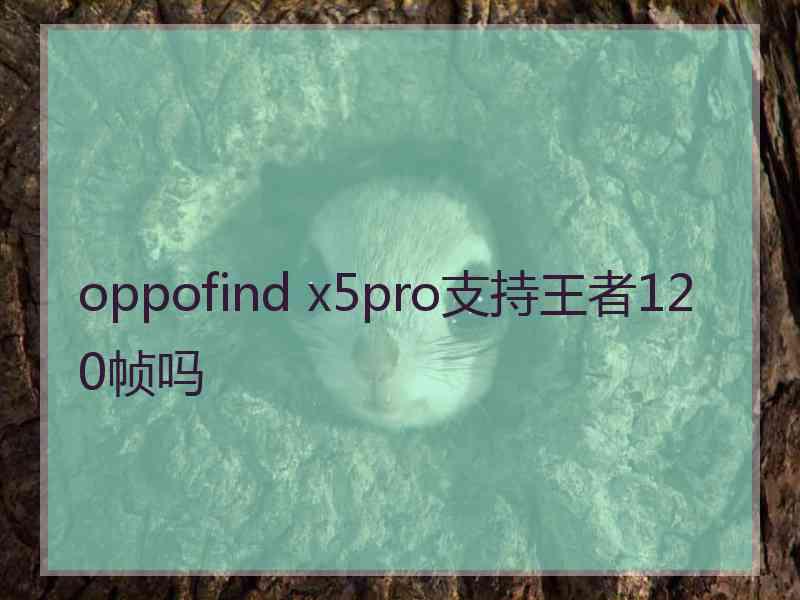 oppofind x5pro支持王者120帧吗