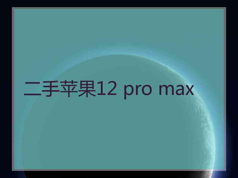 二手苹果12 pro max