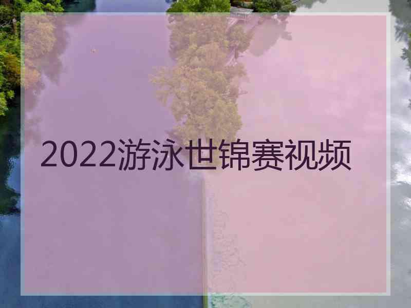 2022游泳世锦赛视频