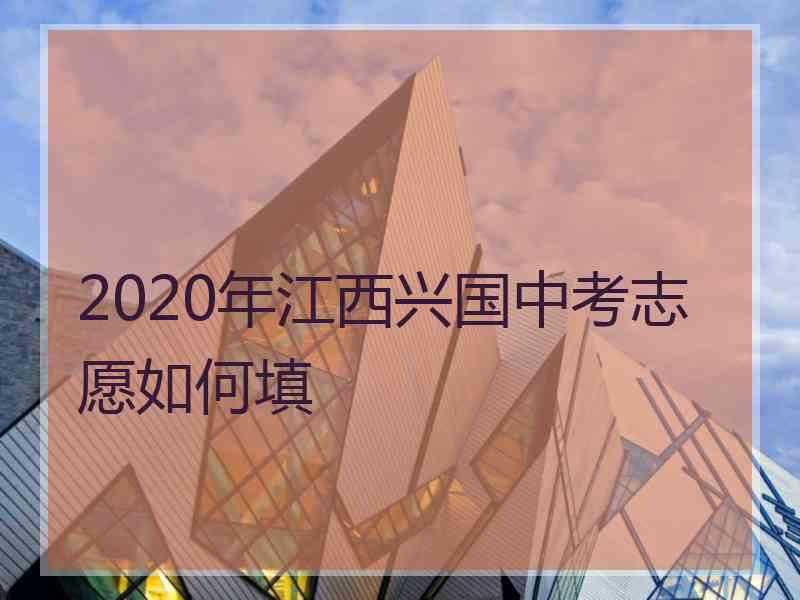 2020年江西兴国中考志愿如何填