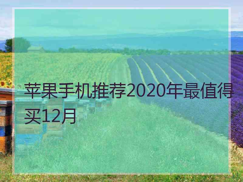 苹果手机推荐2020年最值得买12月