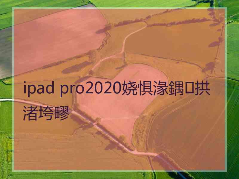 ipad pro2020娆惧湪鍝拱渚垮疁