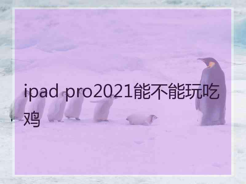 ipad pro2021能不能玩吃鸡