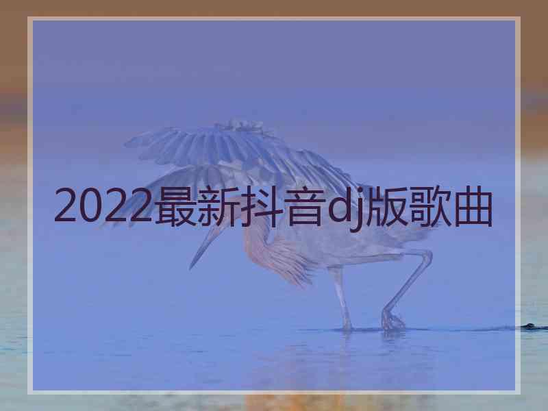 2022最新抖音dj版歌曲