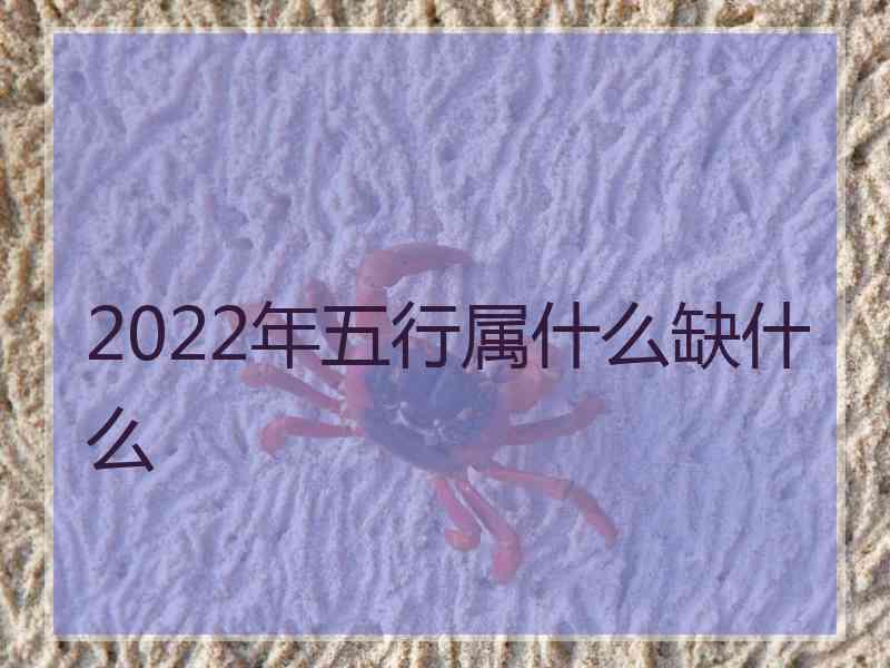 2022年五行属什么缺什么