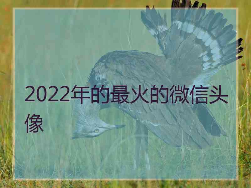 2022年的最火的微信头像