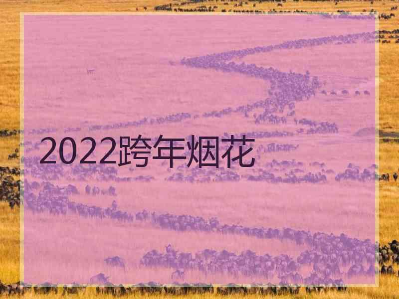 2022跨年烟花