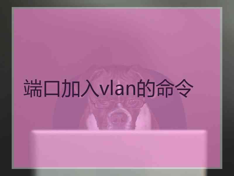 端口加入vlan的命令