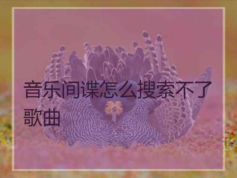 音乐间谍怎么搜索不了歌曲