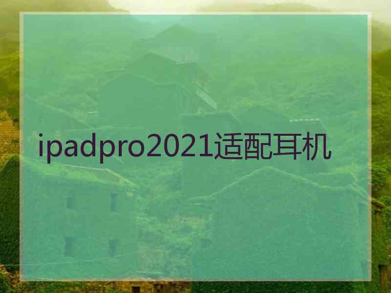 ipadpro2021适配耳机