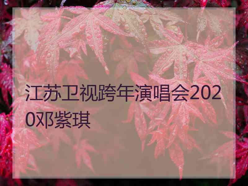 江苏卫视跨年演唱会2020邓紫琪