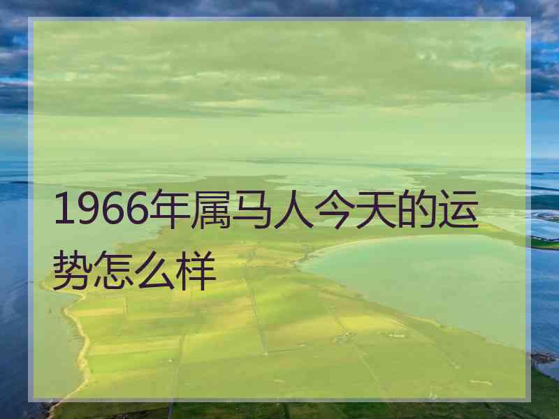 1966年属马人今天的运势怎么样