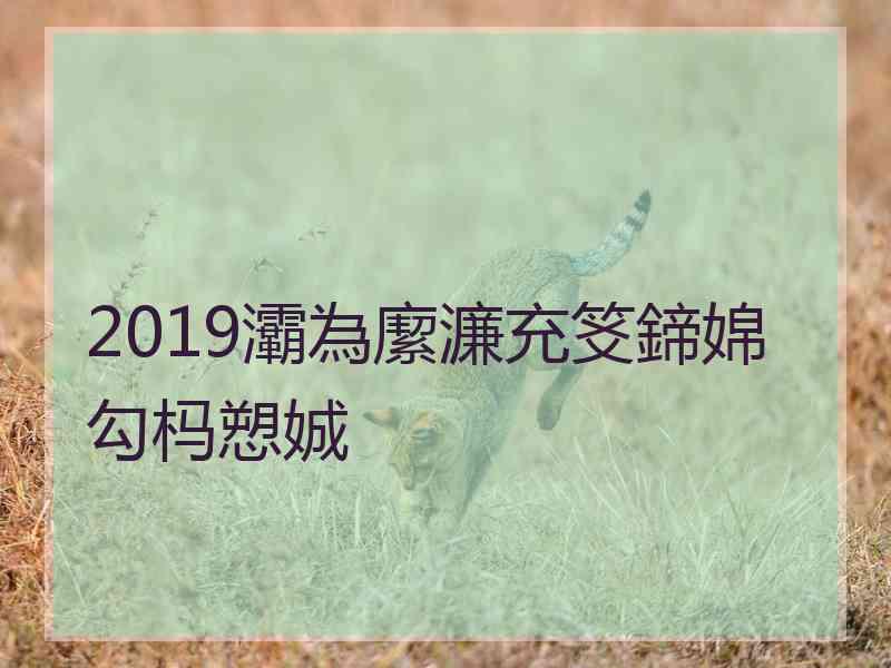 2019灞為緳濂充笅鍗婂勾杩愬娍