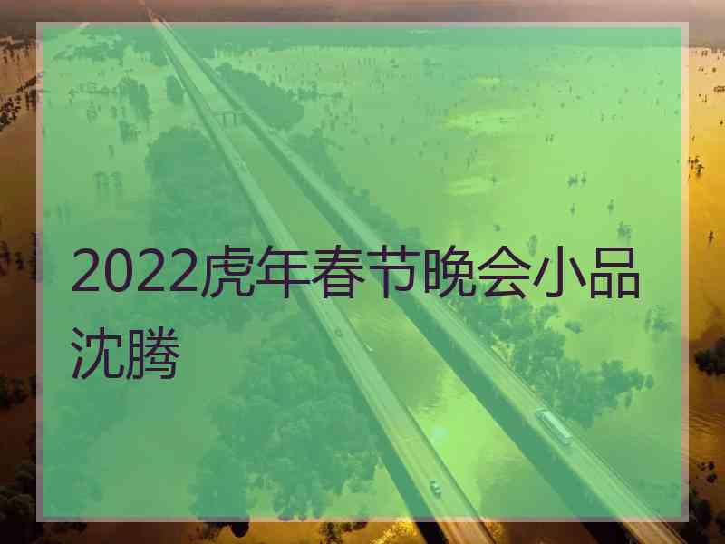 2022虎年春节晚会小品沈腾