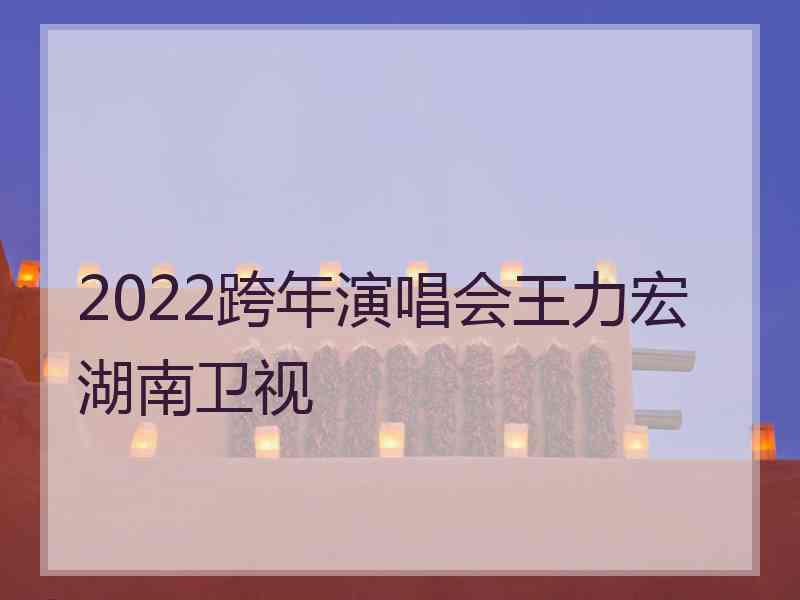 2022跨年演唱会王力宏湖南卫视