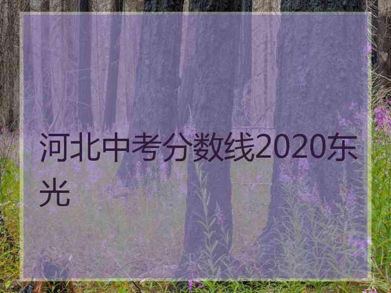 河北中考分数线2020东光