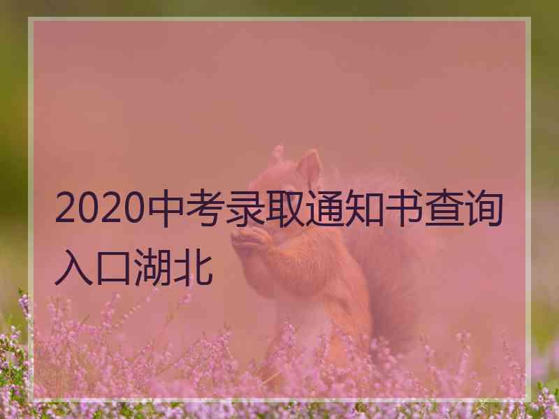 2020中考录取通知书查询入口湖北