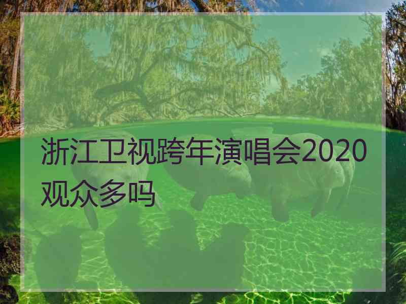 浙江卫视跨年演唱会2020观众多吗