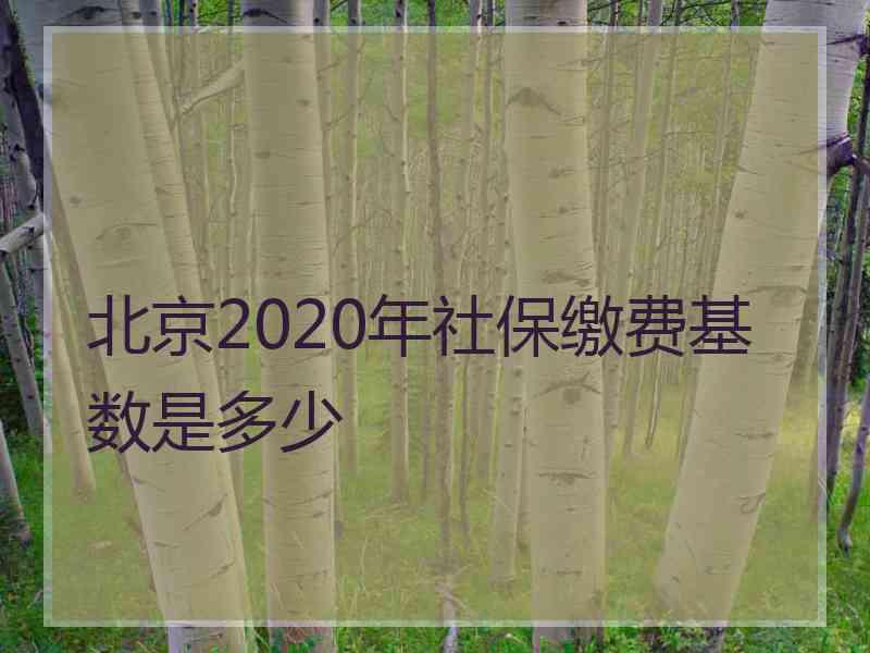 北京2020年社保缴费基数是多少